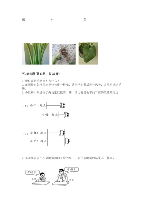 教科版一年级上册科学期末测试卷精品【典优】.docx