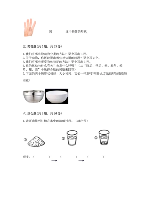 教科版一年级下册科学期末测试卷【基础题】.docx