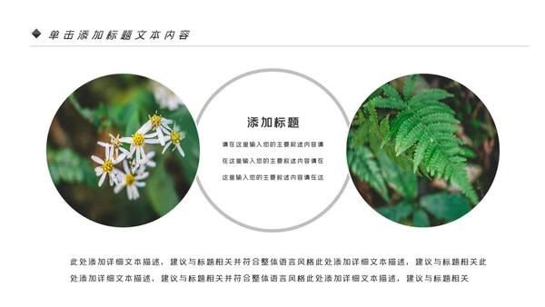 唯美绿色植物发芽植物生长敬畏生命PPT模板