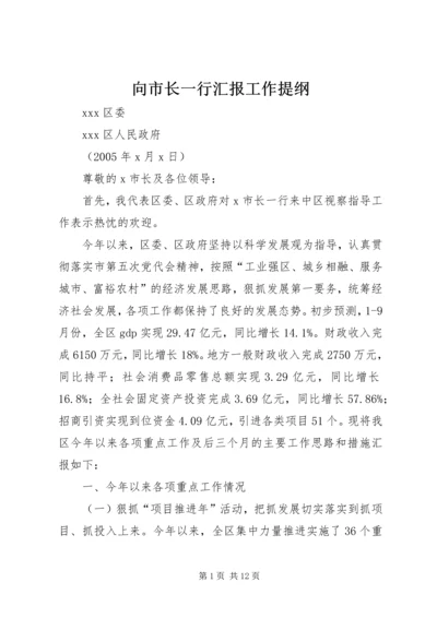 向市长一行汇报工作提纲.docx