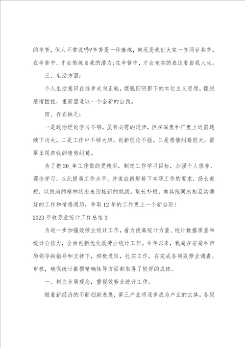 2023年服务业统计工作总结四篇