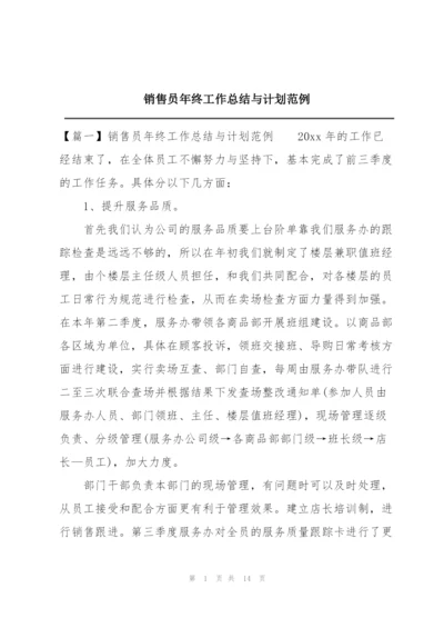 销售员年终工作总结与计划范例.docx