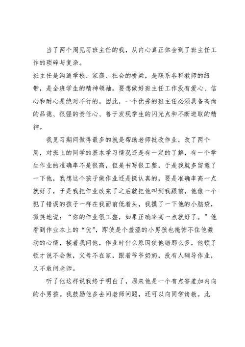 见习班主任的心得体会五篇