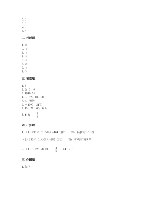 人教版六年级下册数学期末测试卷带答案（最新）.docx