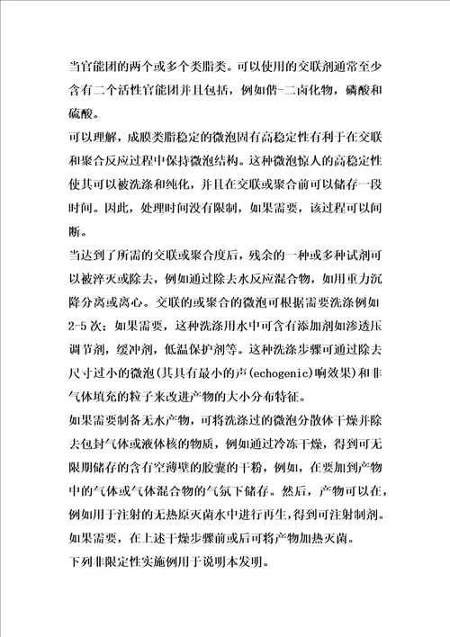 造影剂的改进的制作方法