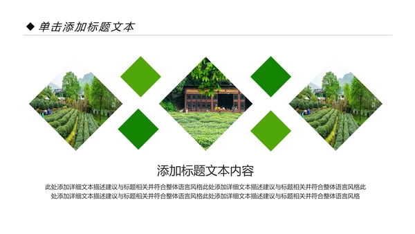 绿色清新茶园茶艺茶道文化动态PPT模板