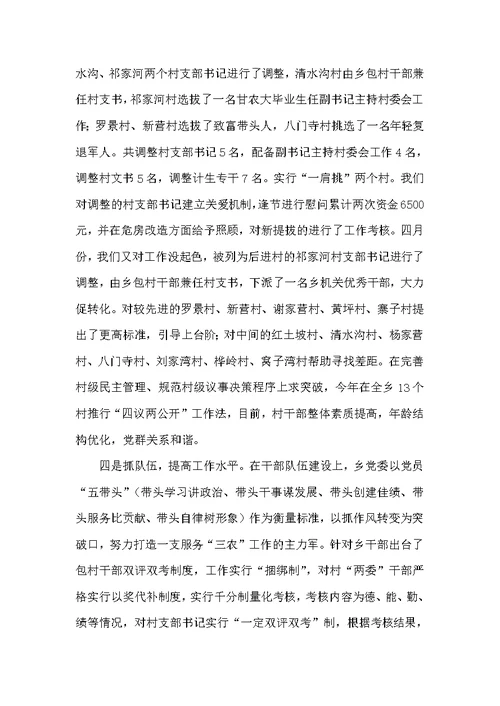 农村基层组织建设专题述职报告