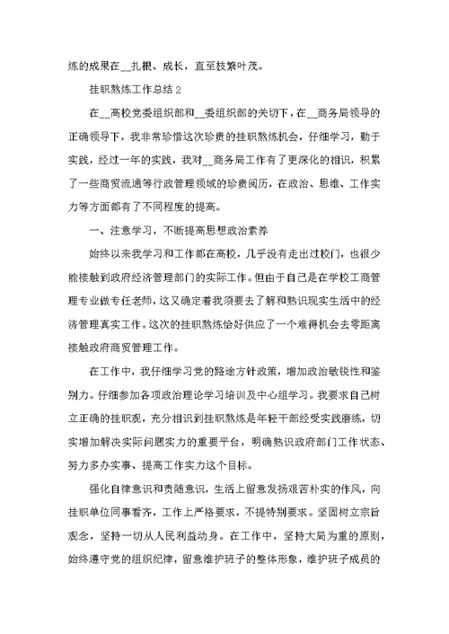 挂职锻炼工作总结5篇