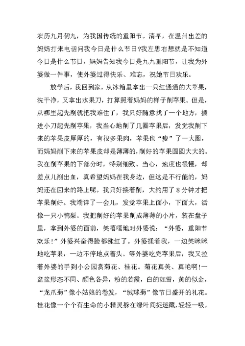 重阳节趣事作文600字