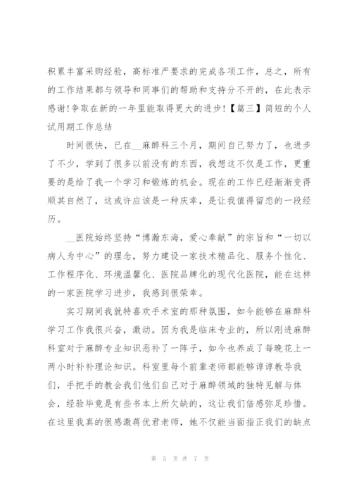 简短的个人试用期工作总结.docx