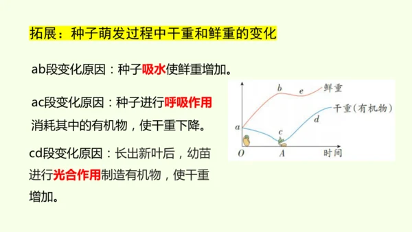 3.1.1 种子的萌发-七年级生物下学期同步精品课件（2024人教版）(共25张PPT)