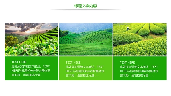 唯美绿色茶园文化茶艺品茶论道动态PPT模板