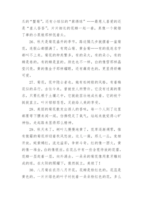 写菊花的优美句子.docx