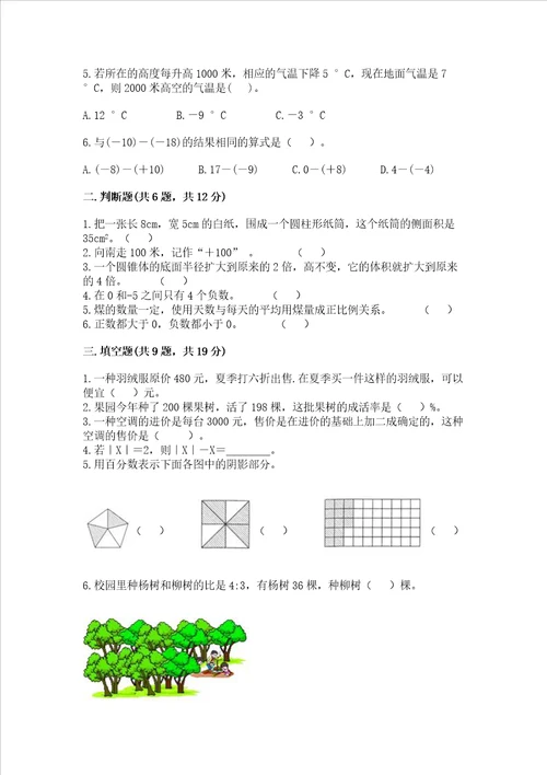 北师大版数学六年级下册期末综合素养提升题及参考答案培优