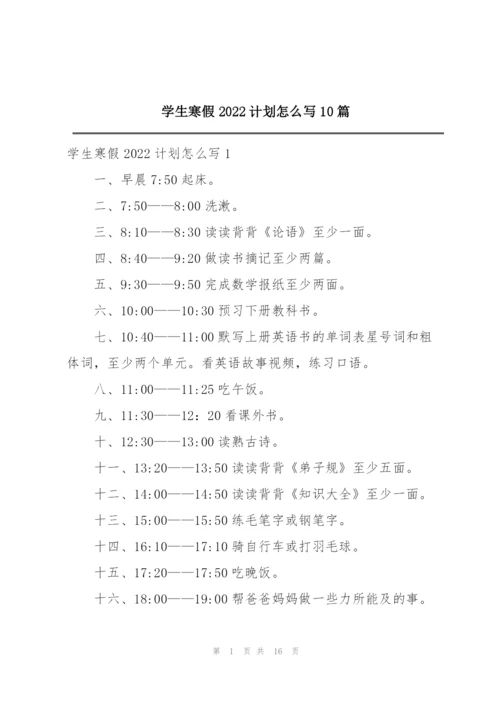 学生寒假2022计划怎么写10篇.docx