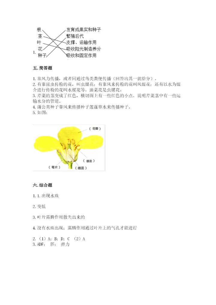 科学四年级下册第一单元植物的生长变化测试卷精品（能力提升）.docx