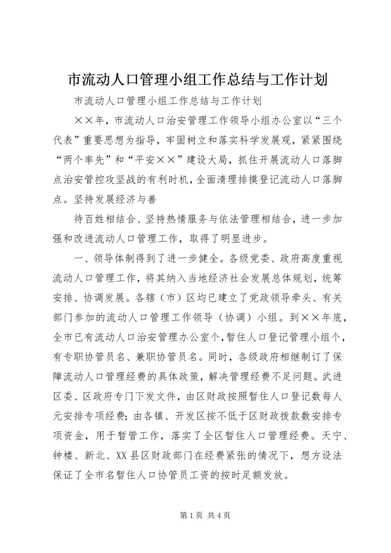 市流动人口管理小组工作总结与工作计划 (5).docx