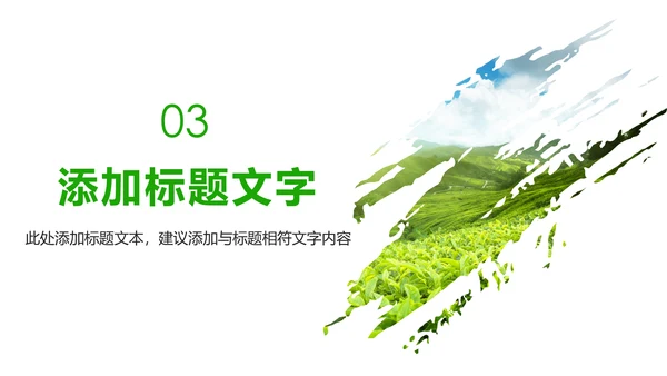 唯美绿色茶园文化茶艺品茶论道动态PPT模板