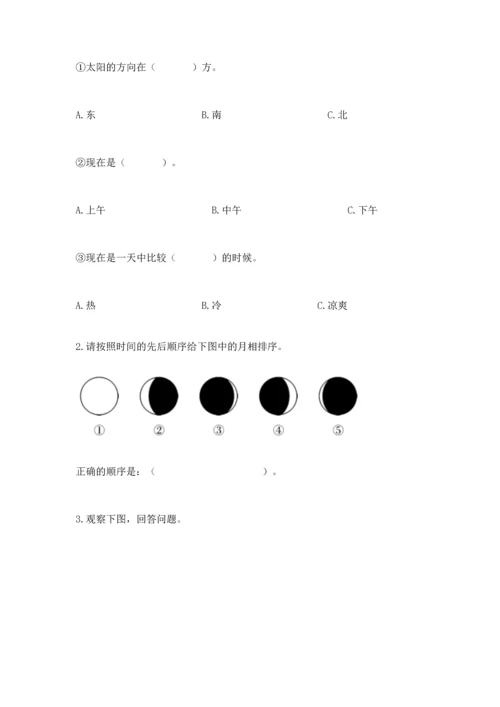 教科版二年级上册科学期末测试卷全面.docx