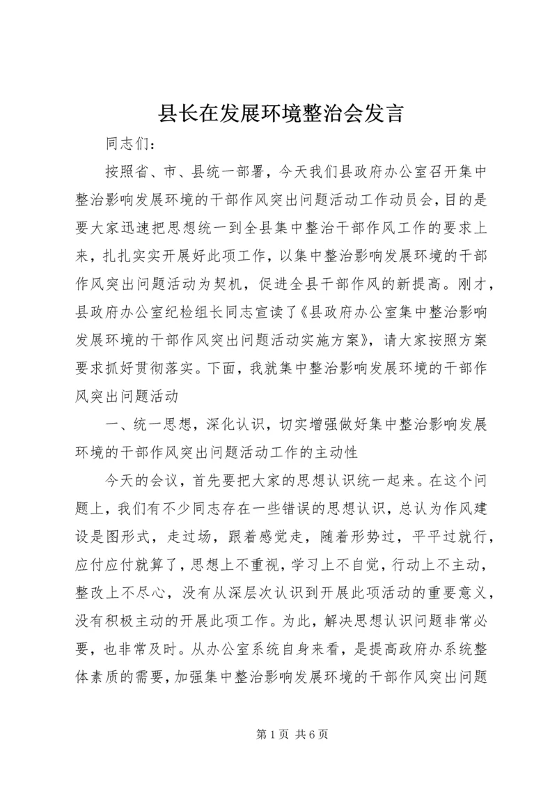 县长在发展环境整治会发言.docx