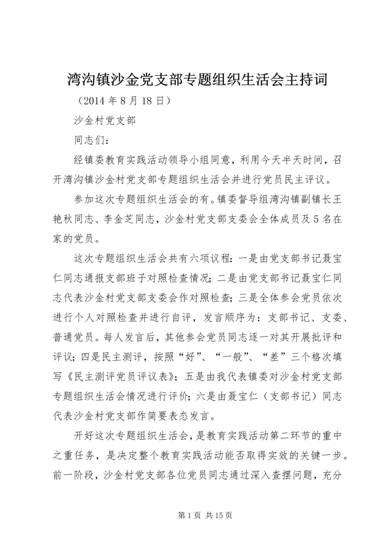 湾沟镇沙金党支部专题组织生活会主持词.docx
