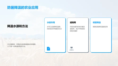 大暑农业生产