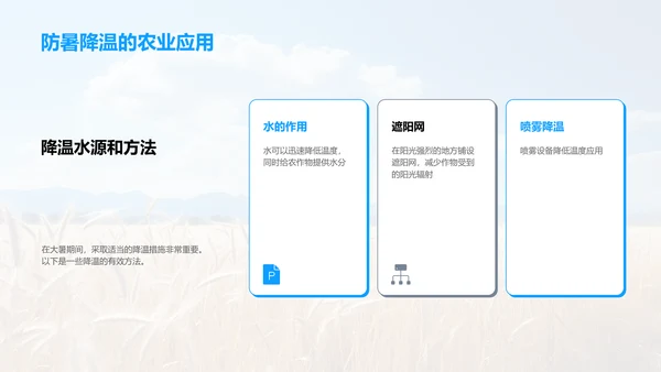 大暑农业生产