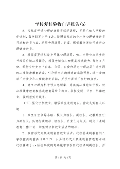 学校复核验收自评报告(5).docx