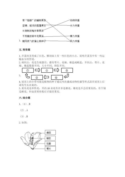 教科版科学四年级下册第一单元《植物的生长变化》测试卷精品（能力提升）.docx