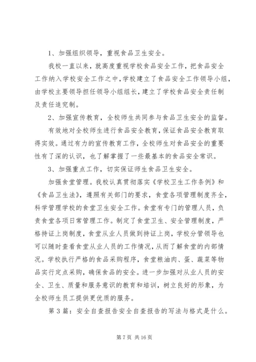 安全自查报告（共6篇） (7).docx