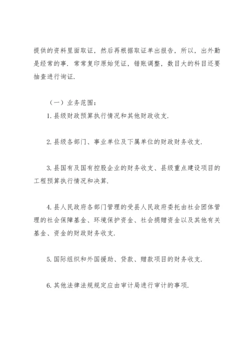 有关审计局实习报告4篇.docx