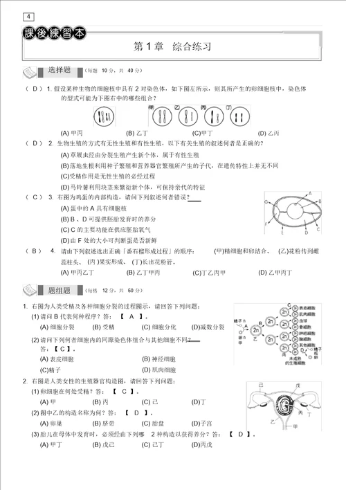 课后练习本教用细胞的分裂2