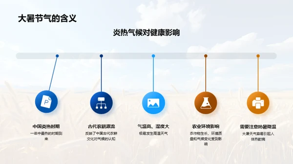 大暑节气深度解析