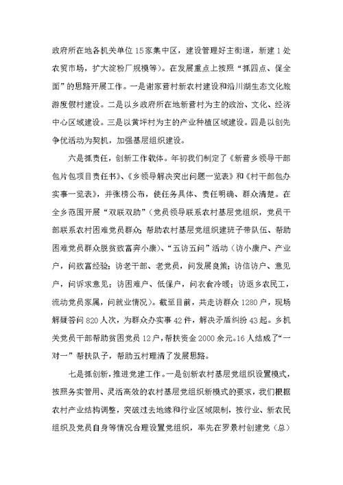 农村基层组织建设专题述职报告