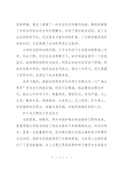 护士实习期间工作总结10篇.docx