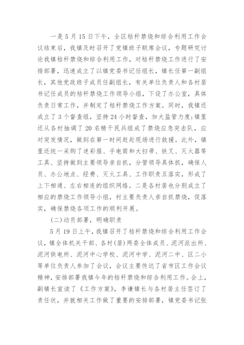 乡镇秸秆禁烧工作总结.docx