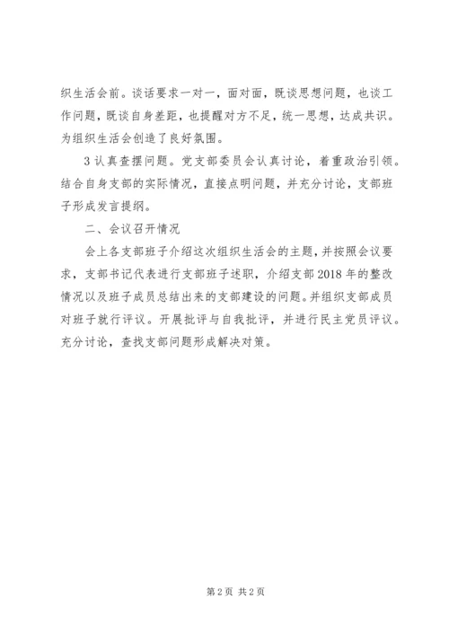 工程学院党组织组织生活会与民主评议党员报告.docx