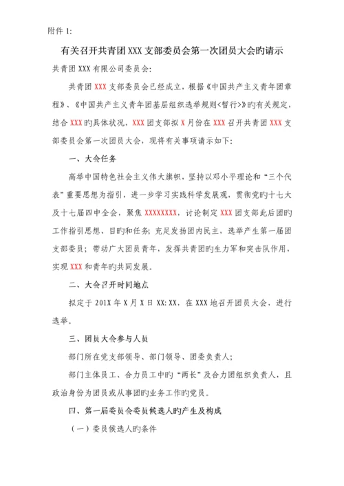 公推直选团支部委员筹备工作专题方案.docx