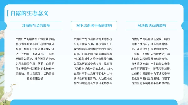 蓝绿色中国风白露节气知识宣传PPT
