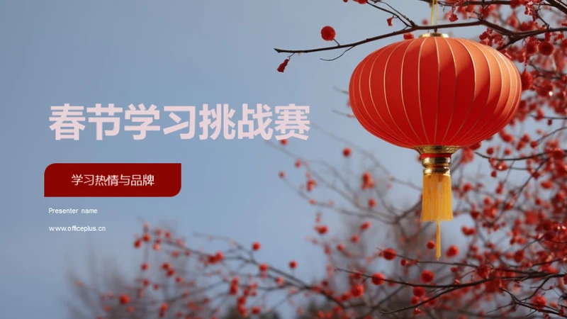 春节学习挑战赛