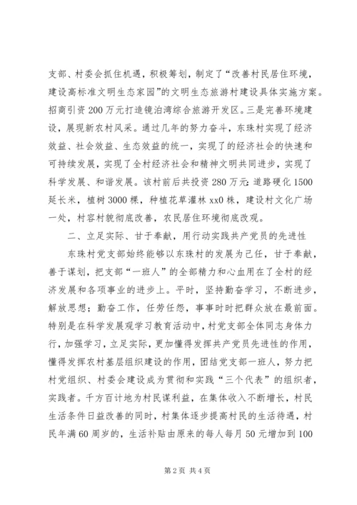 村党支部创先争优材料.docx