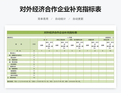 对外经济合作企业补充指标表