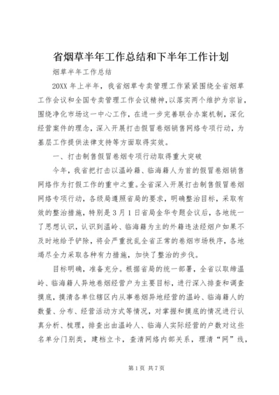 省烟草半年工作总结和下半年工作计划.docx