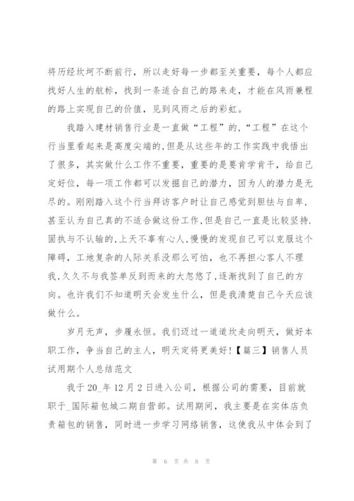 销售人员试用期个人总结范文.docx