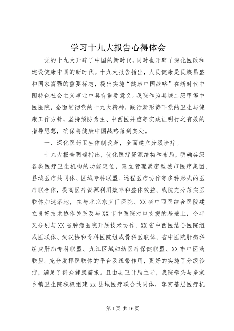 学习十九大报告心得体会 (16).docx