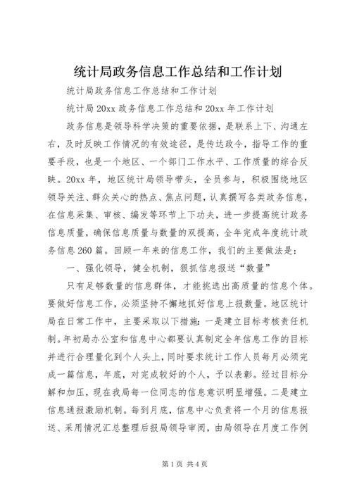 统计局政务信息工作总结和工作计划.docx