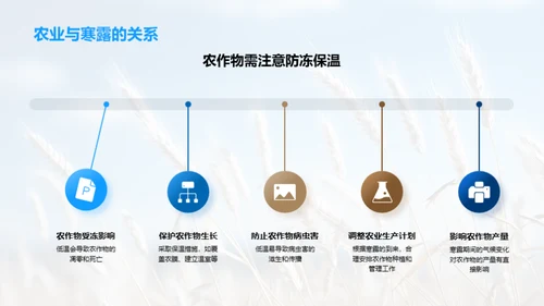 解析寒露之科学