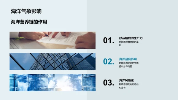海洋守护者的使命