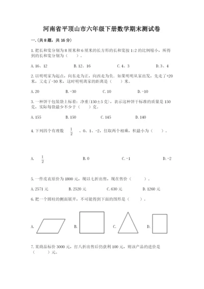 河南省平顶山市六年级下册数学期末测试卷带答案（精练）.docx