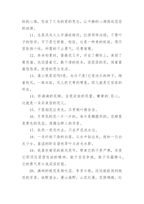 描写玫瑰花瓣的句子.docx